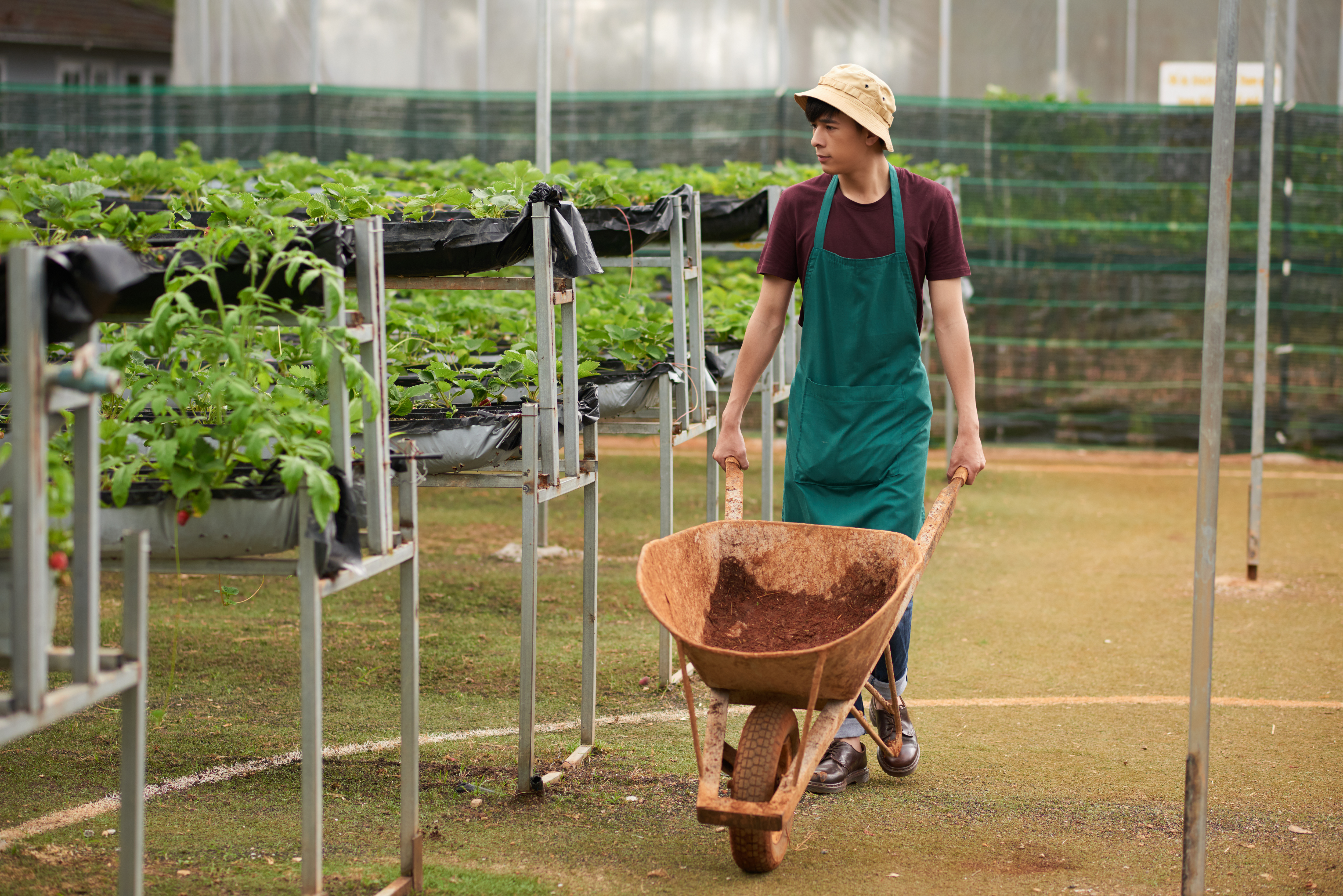 Farmer working in field with equipment
